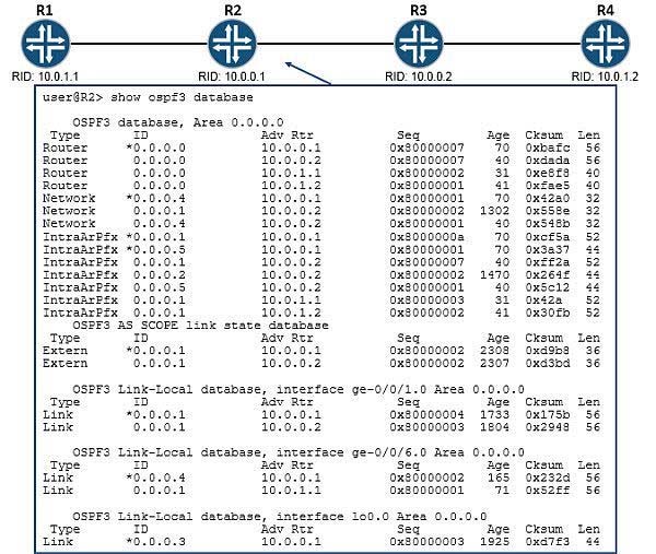 JN0-231 Exam Review