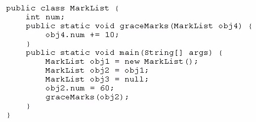 Exam 1z0-808 Format