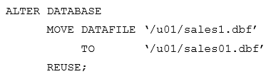 1Z0-082 Latest Mock Test