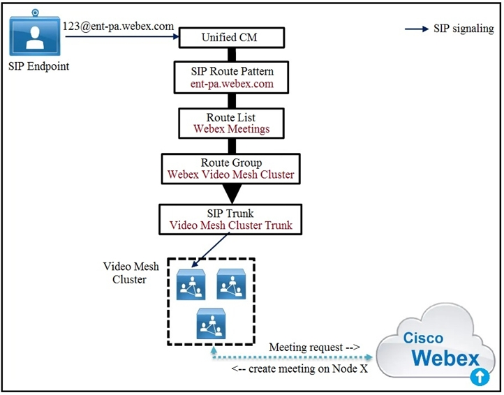 300-820 Testking Learning Materials