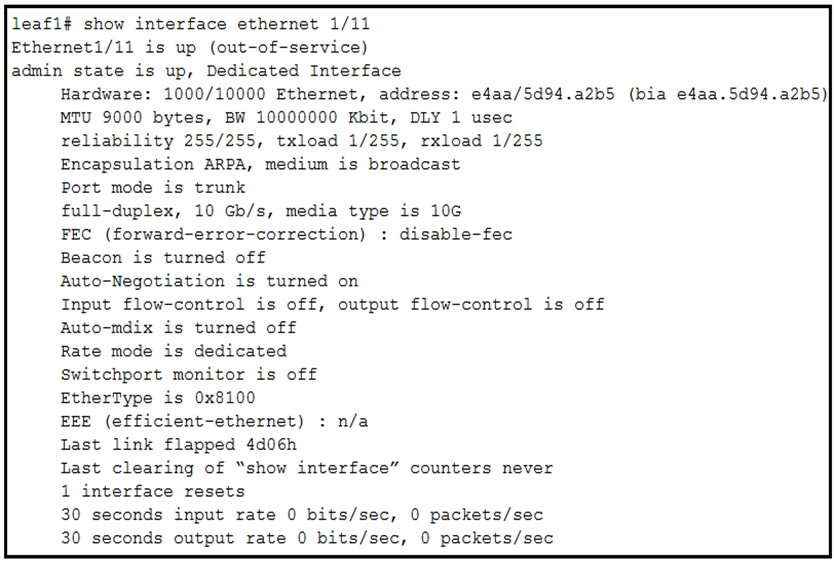 300-615 Valid Guide Files