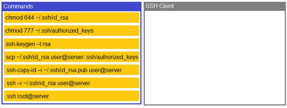 New SY0-601 Real Test