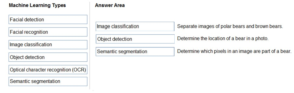 Correct Answer Image