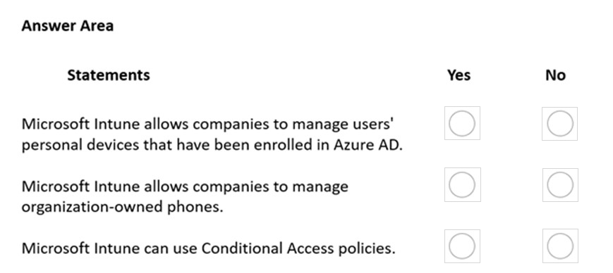 New MS-900 Exam Format