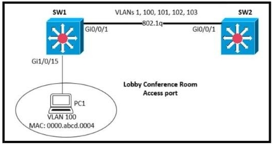 New 100-101 Dumps Pdf