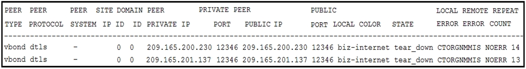 300-415 Test Dumps