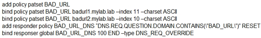 1Y0-204 New Real Test