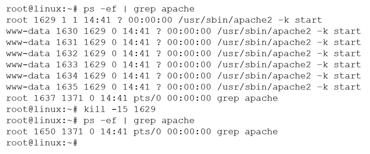 Dump XK0-004 Torrent